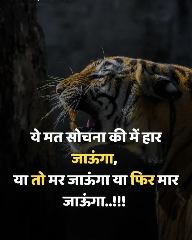 attitude-quotes-in-hindi-22