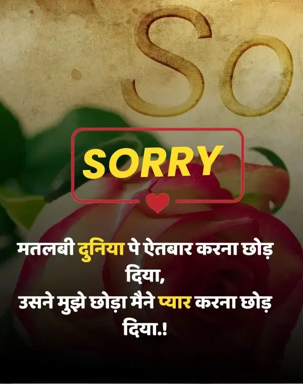 sorry-shayari-in-hindi-5