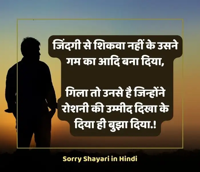 sorry shayari in hindi