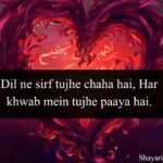 Love Shayari in English